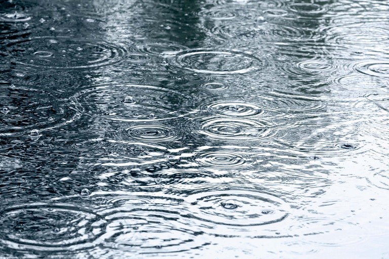 Meteo Bosco della Tassita: domani mercoledì 23 Agosto possibilità di pioggia.