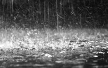Meteo Regalbuto: oggi giovedì 24 Agosto lieve pioggia. Allerta gialla della Protezione Civile.